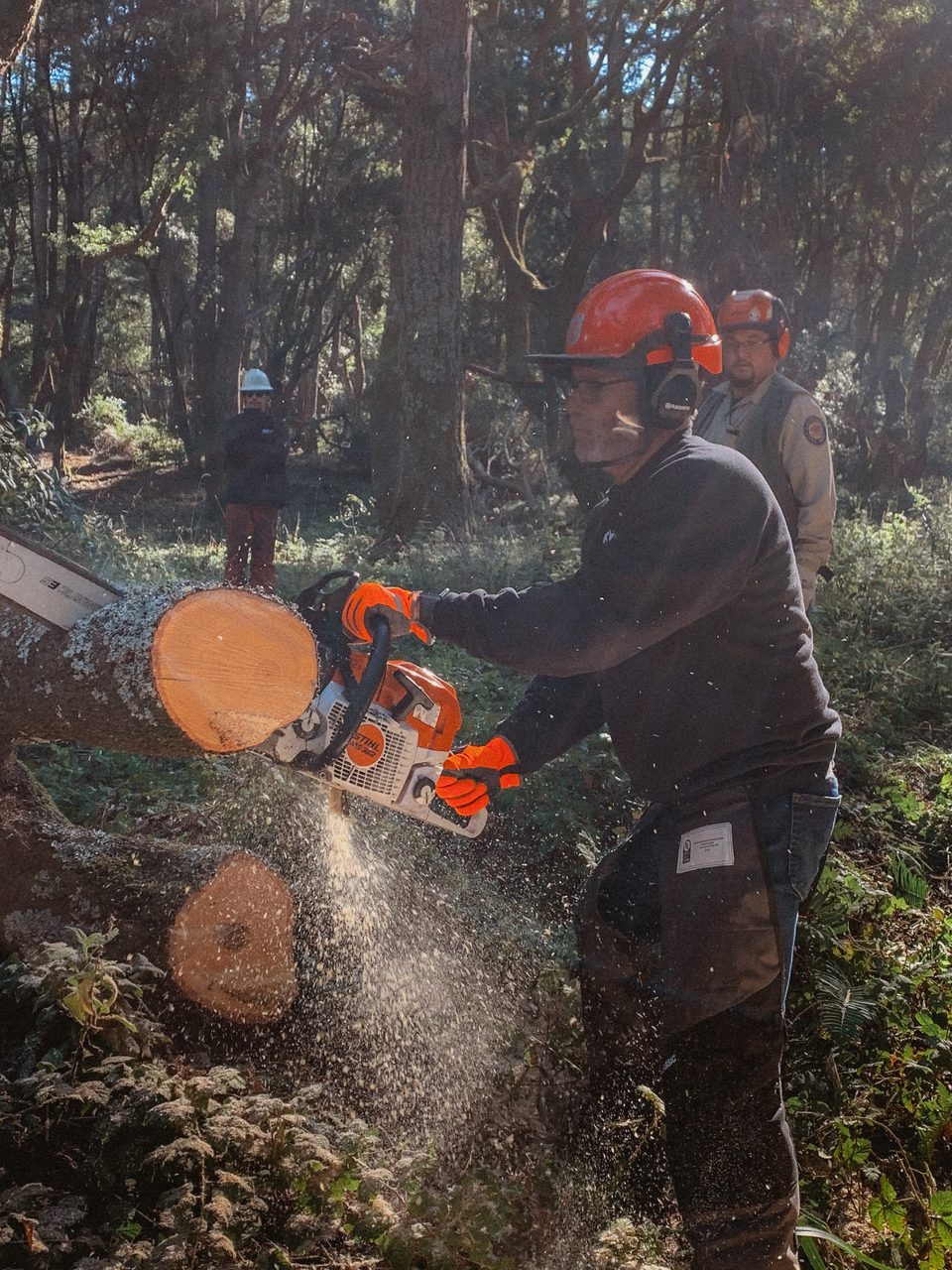 S-212 chainsaw certification — a student cutting rounds while an instructor observes