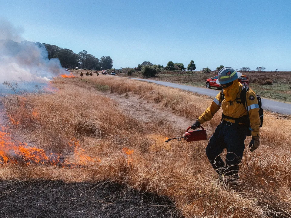 A firing operation along a road, drip torch laying flame at the edge