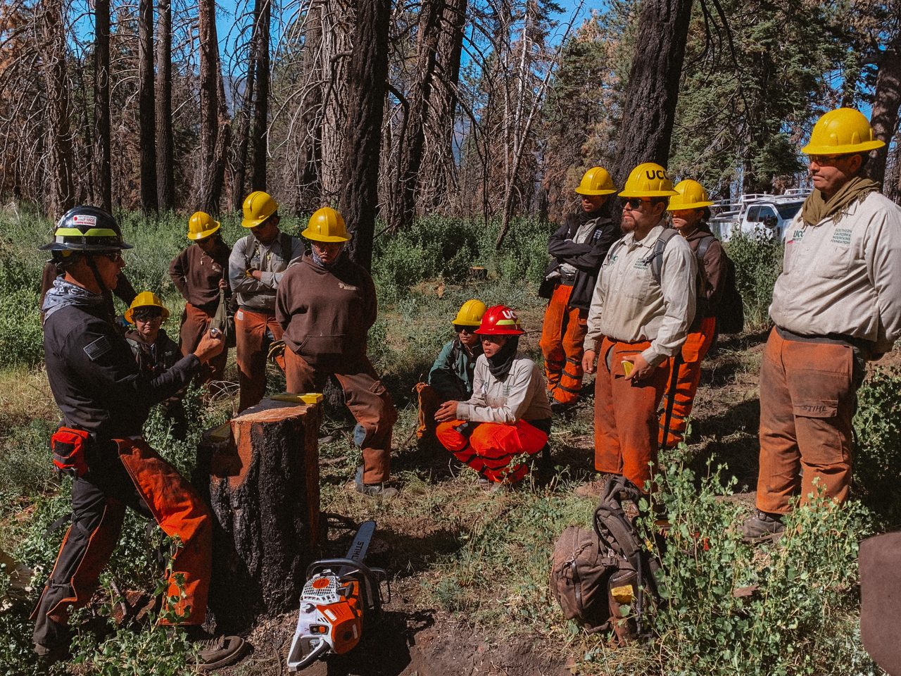 An instructor teaching saw technique to a crew gathered in the field