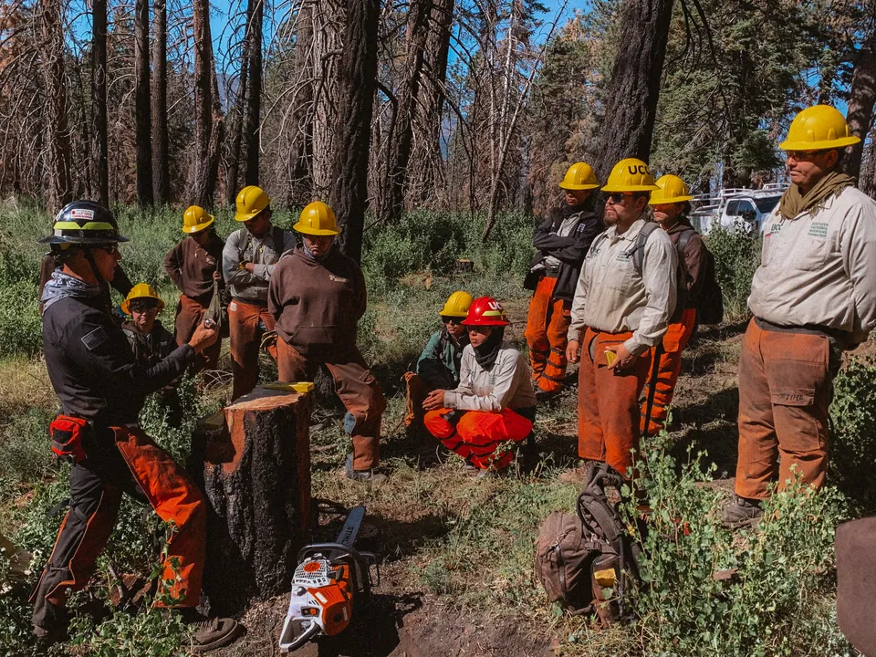 An instructor demonstrating saw technique to a crew in the field