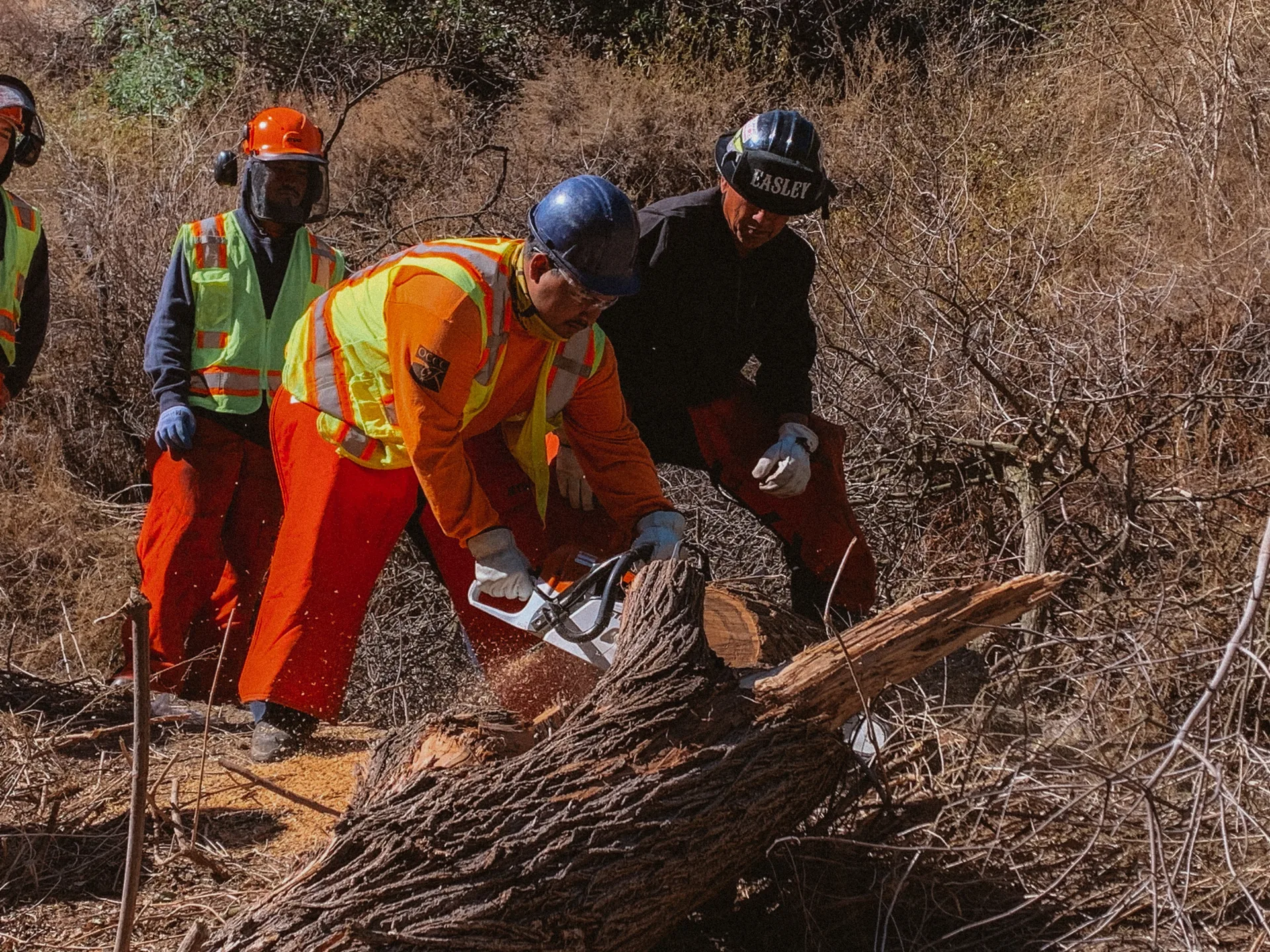A Working on Fire instructor hands-on guiding a student’s chainsaw cut during saw training