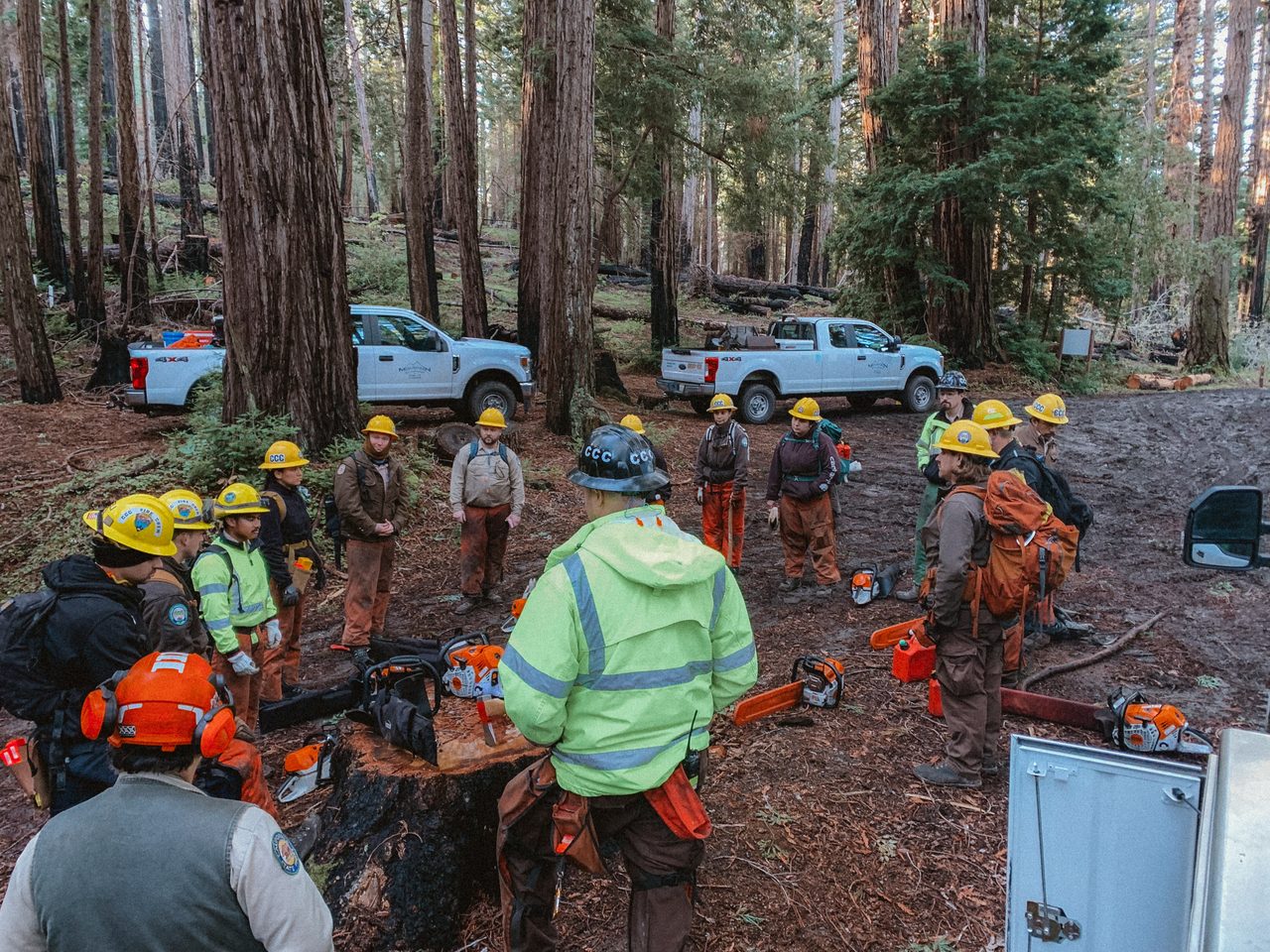 A corps crew and instructors at a morning field briefing in the redwoods.