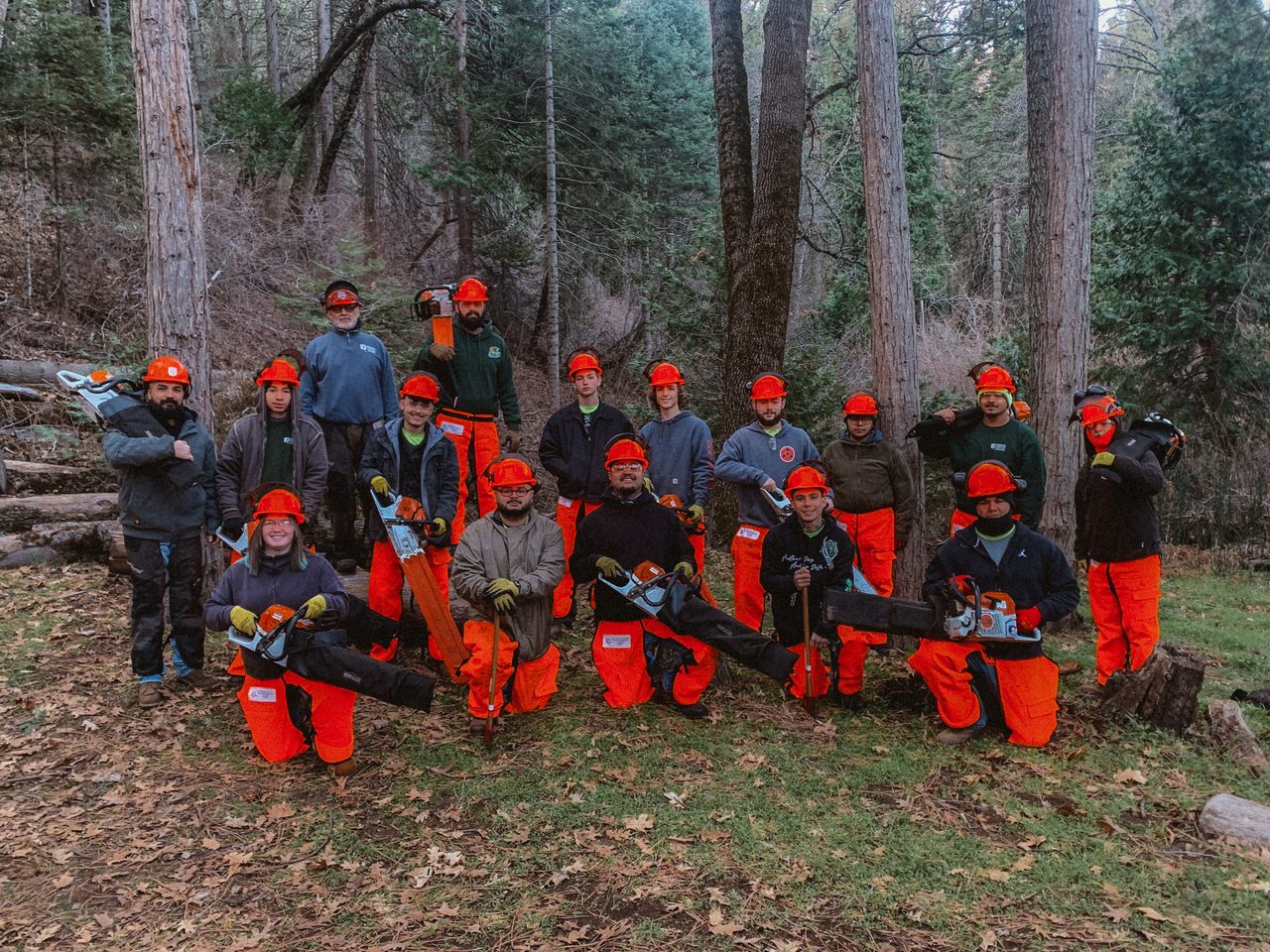 An S-212 cohort at the end of the course, crew assembled with their saws and chaps in a forest clearing